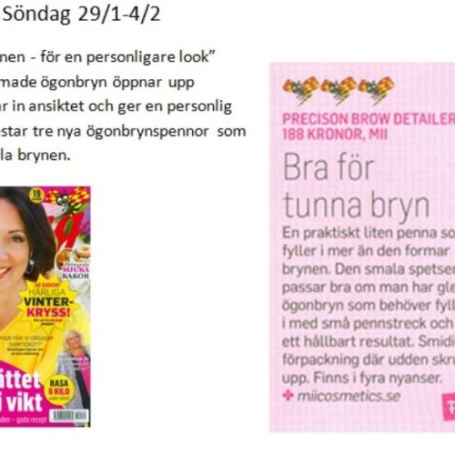 Precision Brow Detailer, Expressen Söndag